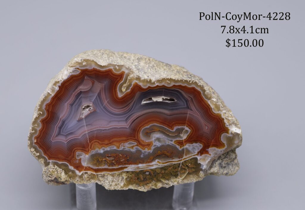 Coyamito Agate