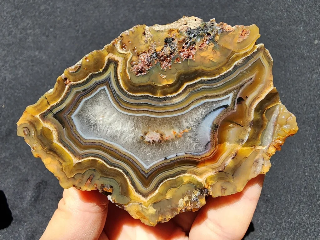 Fortification Agate