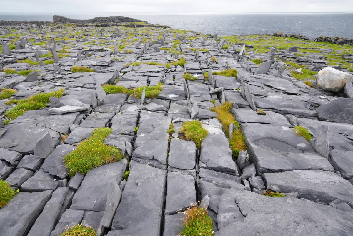 Limestone Formation and Carbonate Platforms