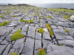Formación de caliza y plataformas carbonatadas