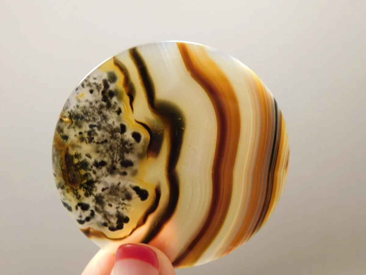 Piranha Agate: A Guide to One of the Rarest and Most Unique Agates