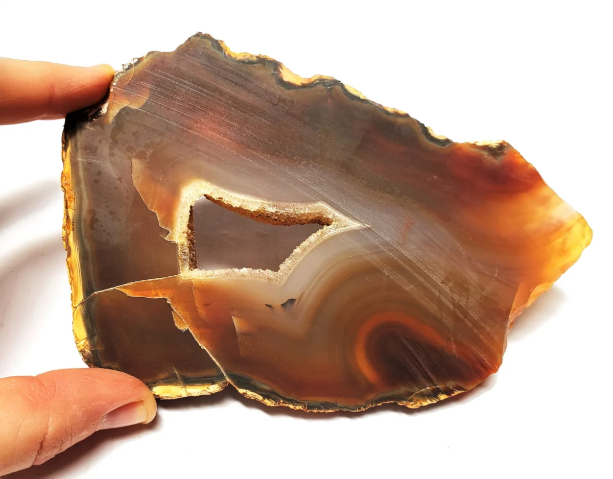 Piranha Agate: A Guide to One of the Rarest and Most Unique Agates