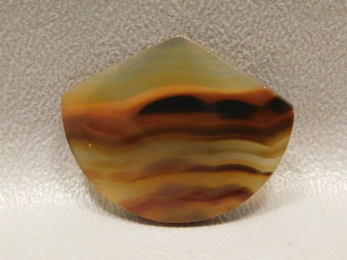 Piranha Agate: A Guide to One of the Rarest and Most Unique Agates