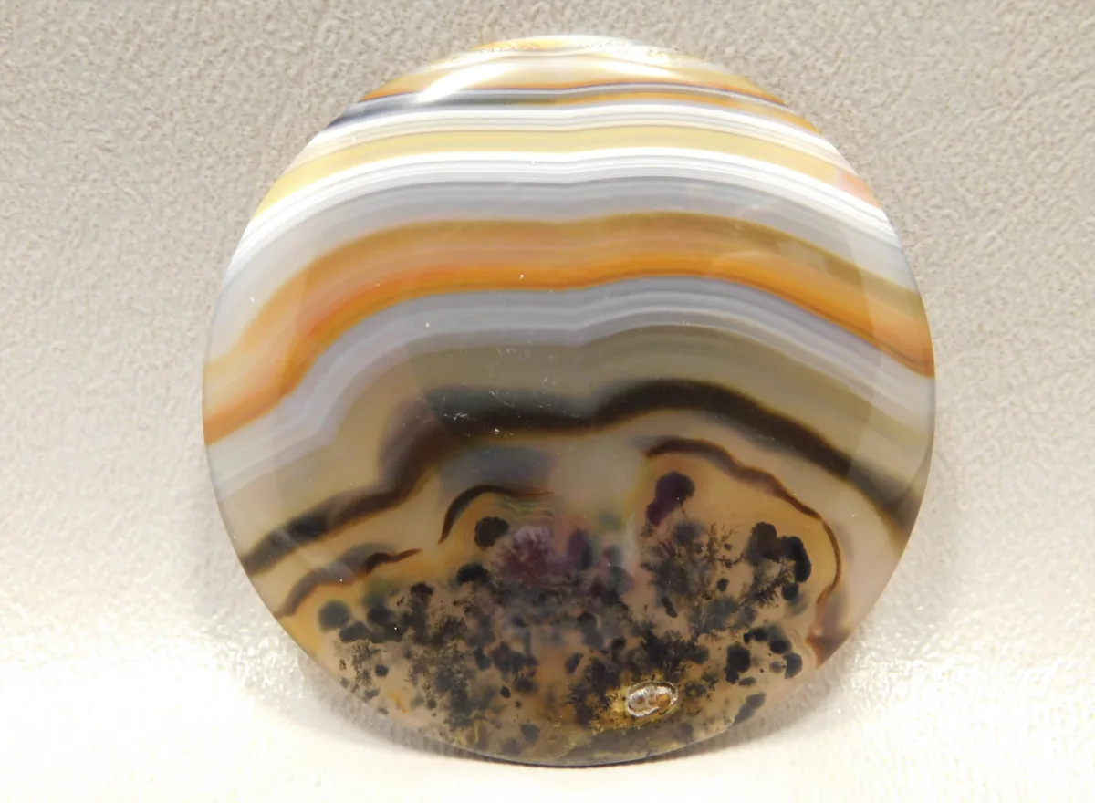 Piranha Agate: A Guide to One of the Rarest and Most Unique Agates