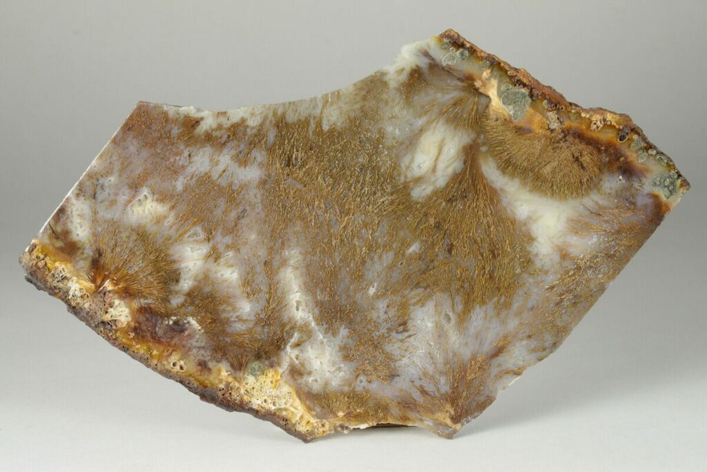 Sagenite Agate