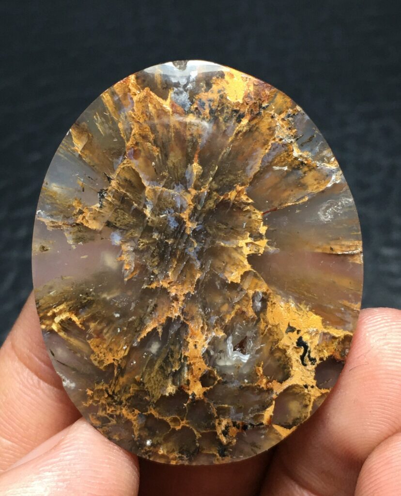 Sagenite Agate