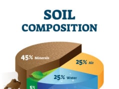 Composición y tipos de suelo