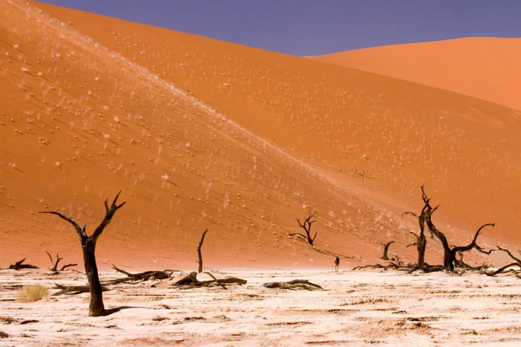 Sossusvlei, Namibia: A Geologic Marvel in the Namib Desert