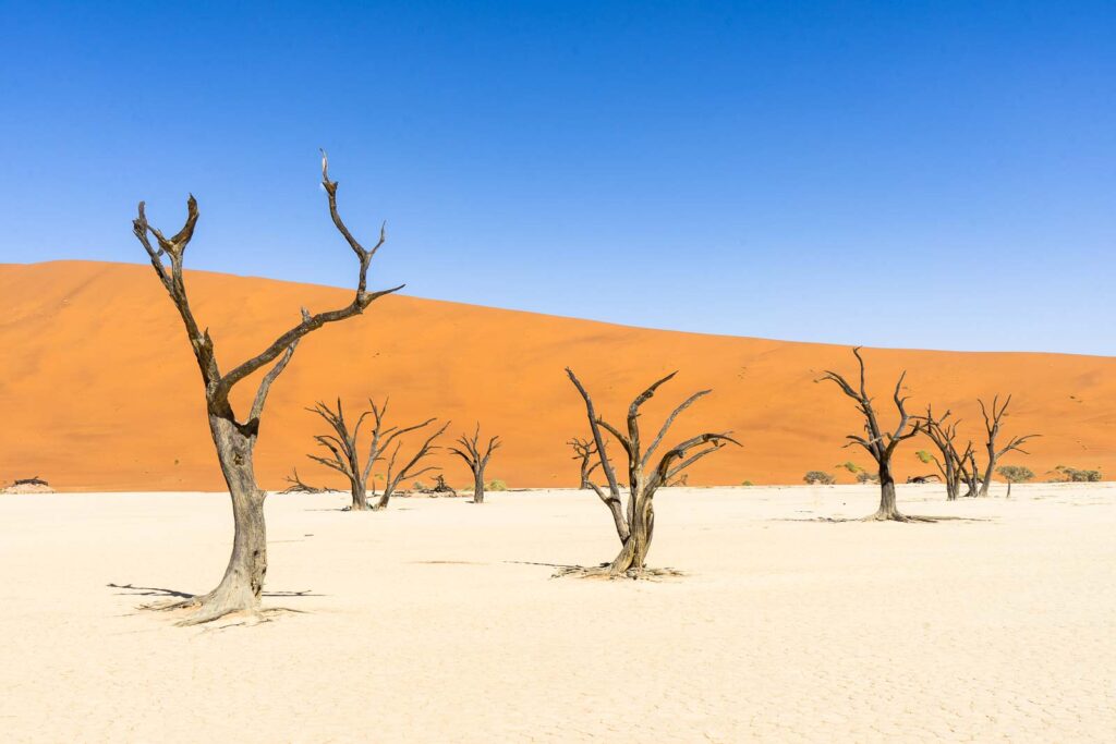 Sossusvlei, Namibia: A Geologic Marvel in the Namib Desert