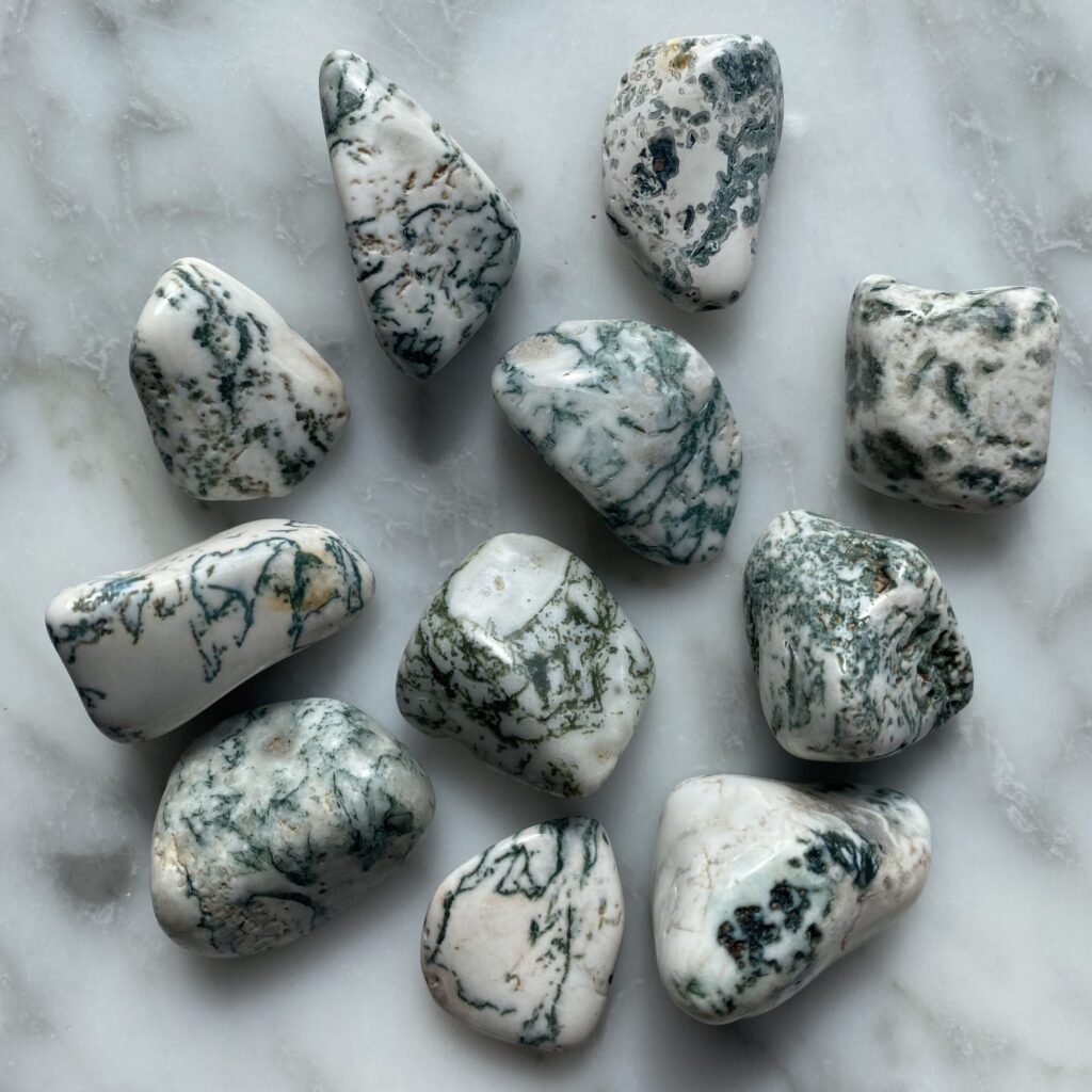 Tree Agate