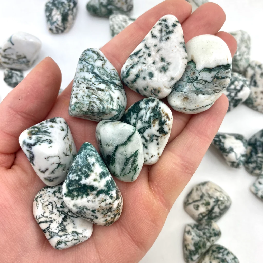 Tree Agate