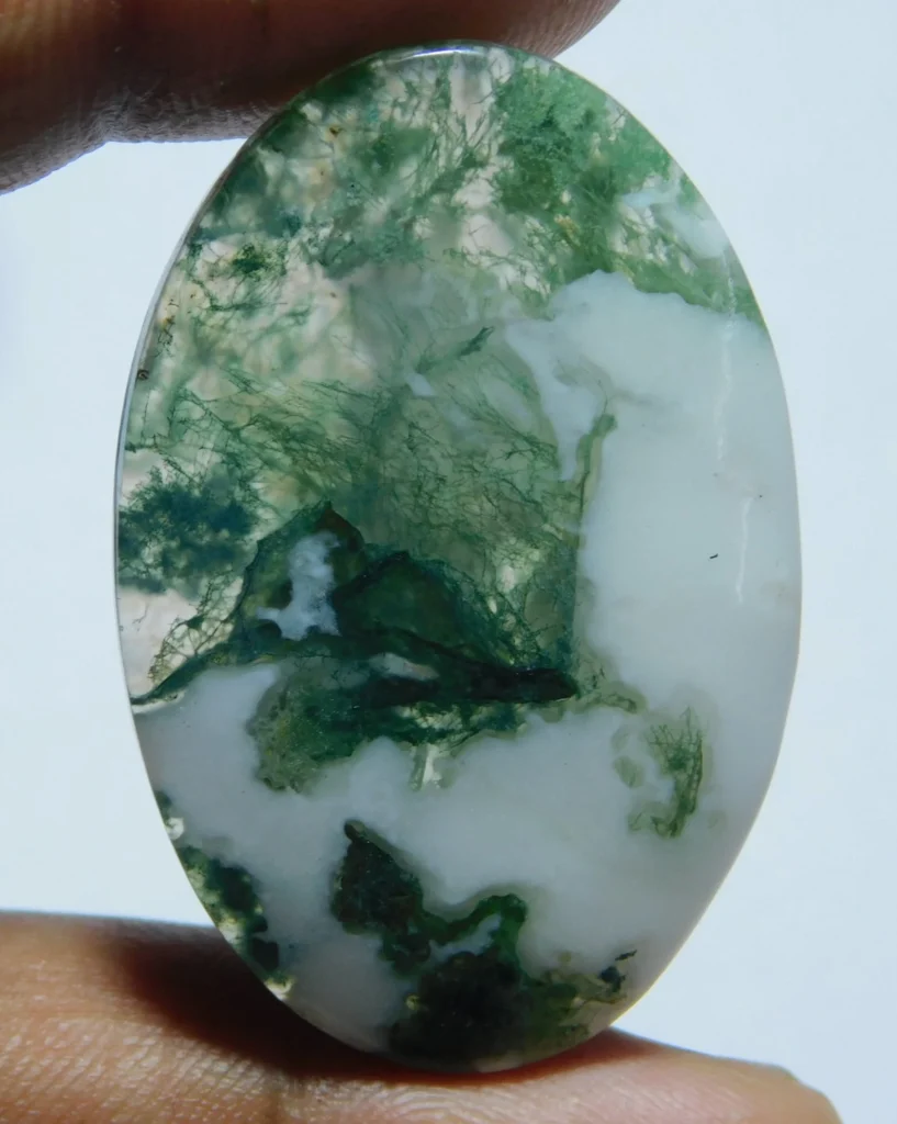 Tree Agate
