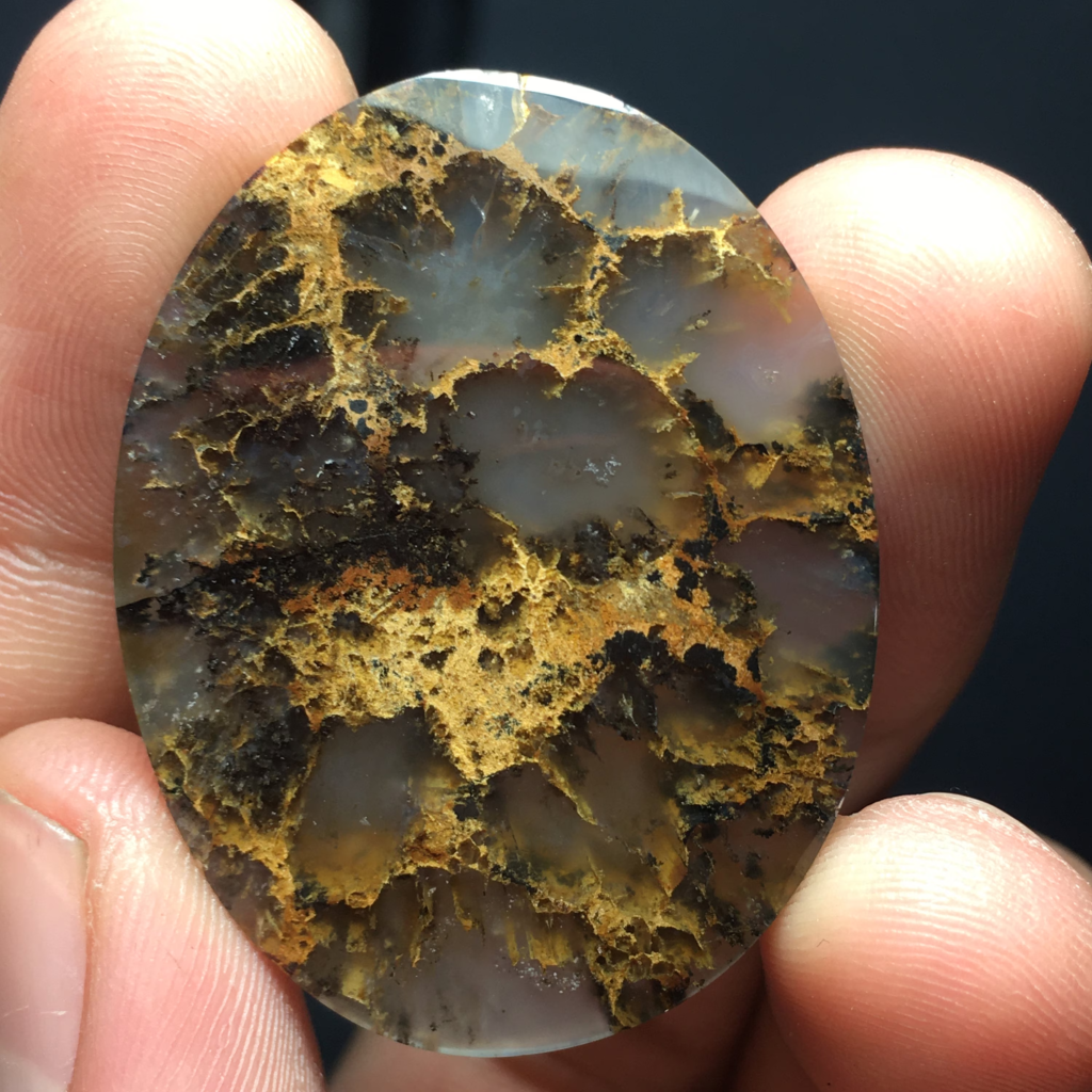 Sagenite Agate