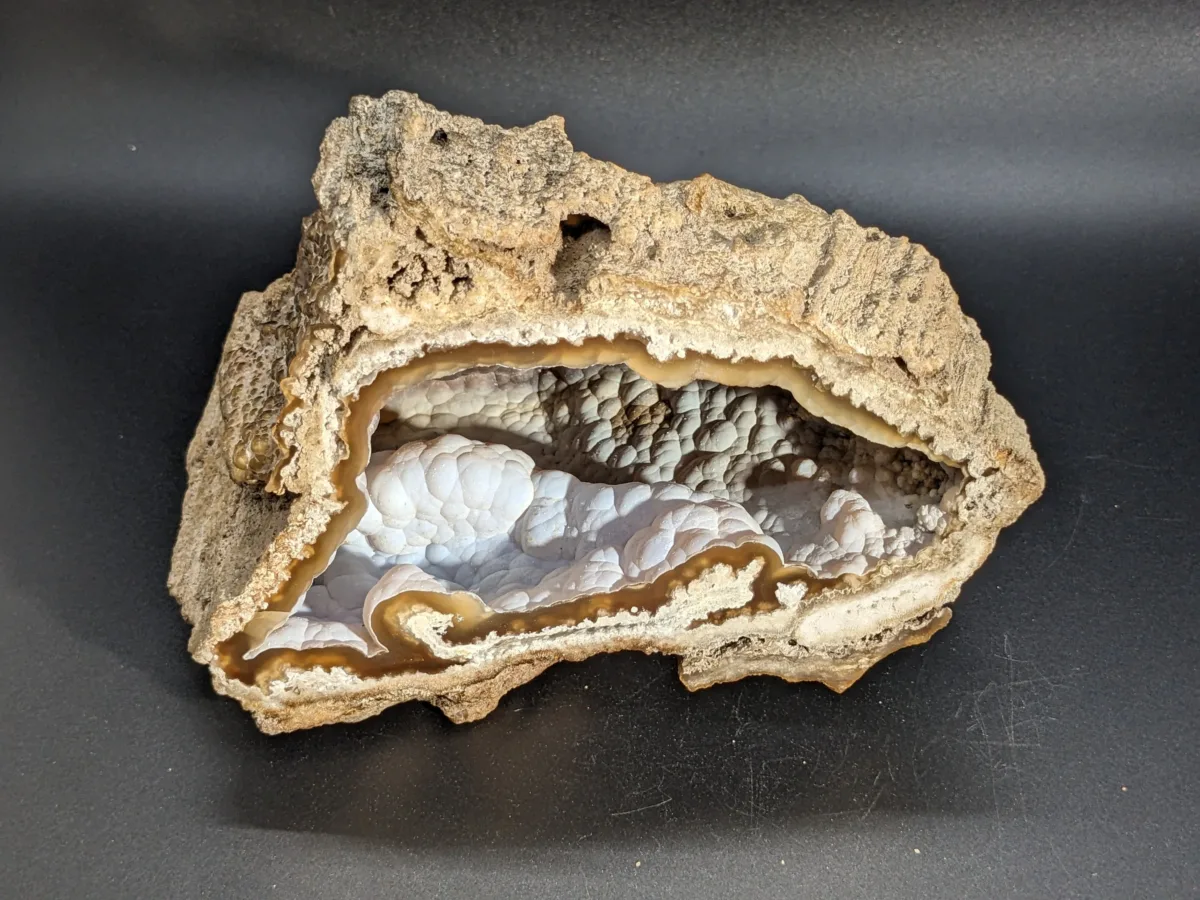 Agatized coral