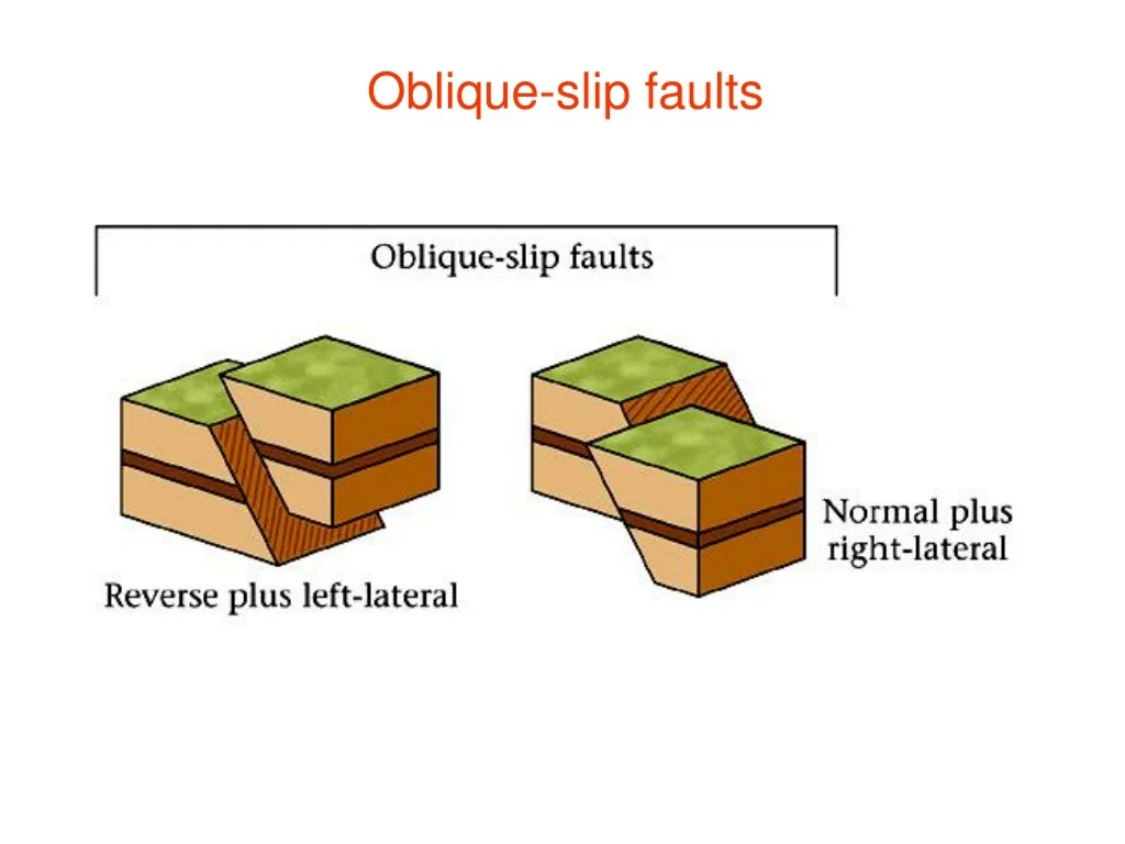 Crosta Continental Crosta Oceânica Ilustração Vetorial Visão Seccional  Vetor de stock de ©barks 381574194, image size:1024x768