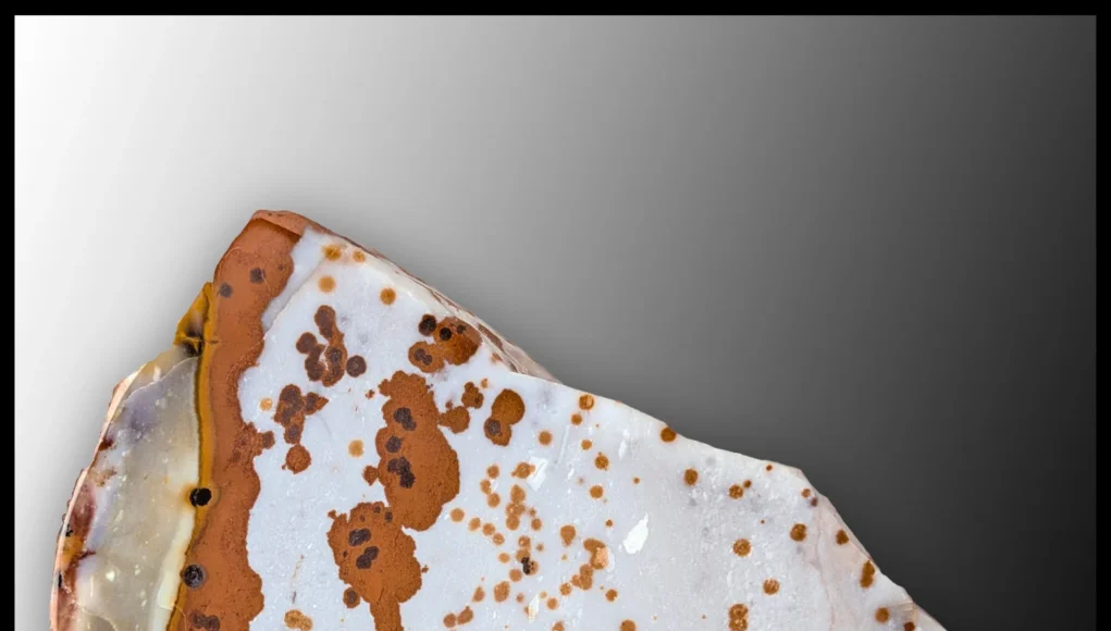 Polka Dot Agate stone showing natural circular dot patterns that look artificially painted