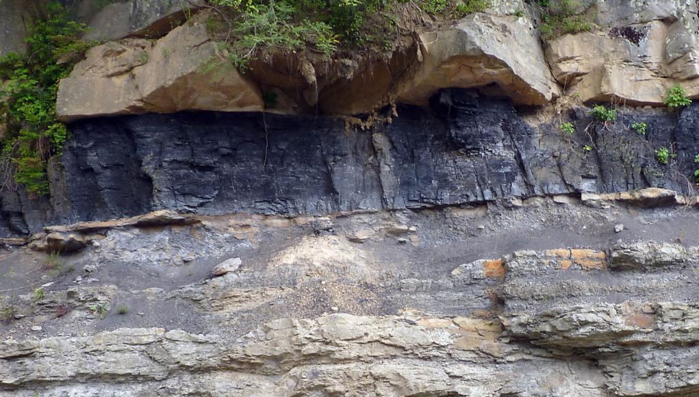 Sedimentary rock layers formed by repeated deposition of sand and mud, visible as distinct bedding planes.