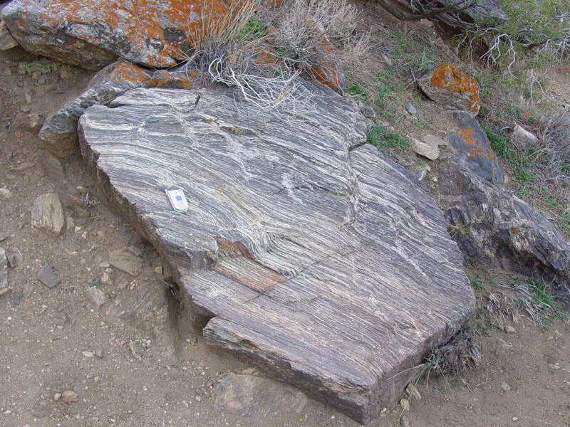 Gneiss boulder along Ryan Mountain Trail
