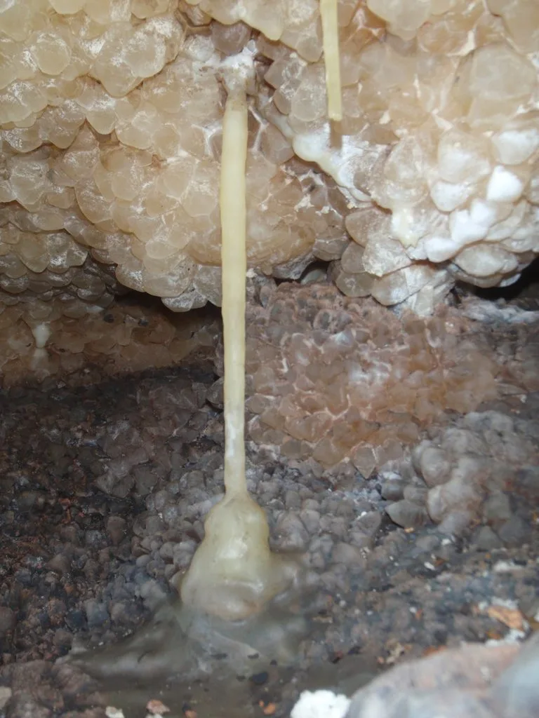 Stalactite and stalagmite joined together to form a cave column